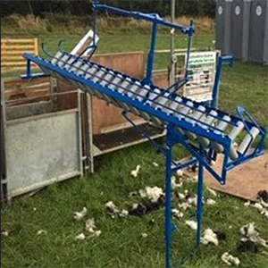 Lamb Docking Chute Highway Shearing Lamb Docking Chute Highway Shearing