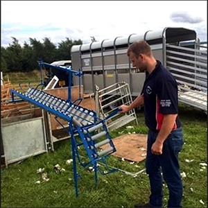 Lamb Docking Chute Highway Shearing Lamb Docking Chute Highway Shearing
